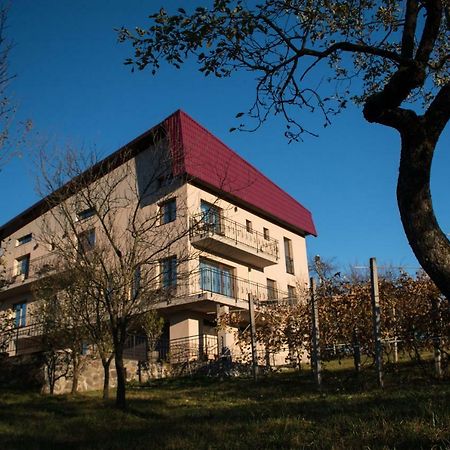 Panoramic Baia Sprie Exterior foto