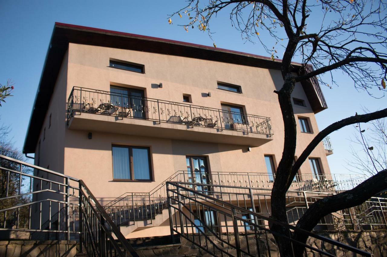 Panoramic Baia Sprie Exterior foto