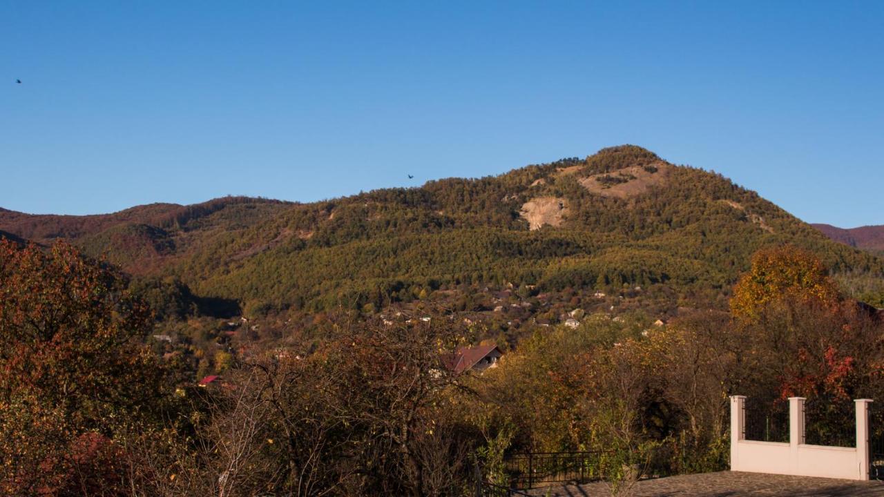 Panoramic Baia Sprie Exterior foto